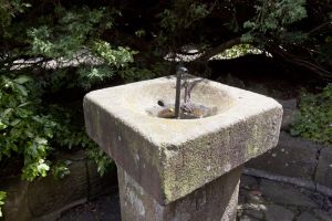cankers well july 12 2012 1 sm.jpg